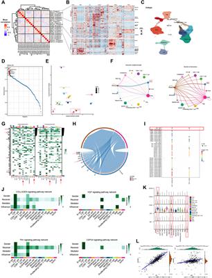 Pan-cancer dissection of vasculogenic mimicry characteristic to provide potential therapeutic targets